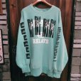 画像1: "USED" {NO MAD NUMSKULL} Remake Champion REVERSE WEAVE / MINT GREEN (1)