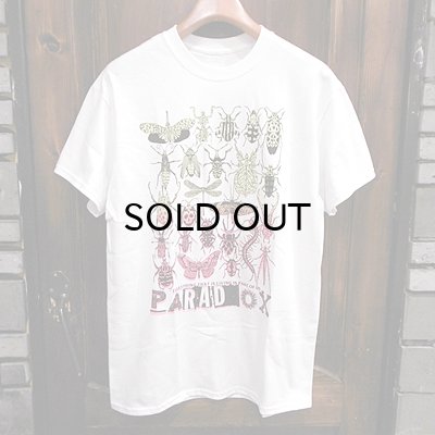 画像1: {PARADOX} "Everything that is living is part of us" S/S T-SHIRTS / WHITE