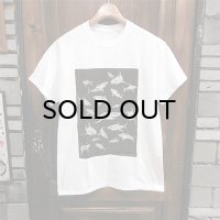 {PARADOX} "Sharks" S/S T-SHIRTS / WHITE×BLACK