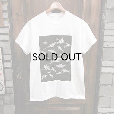 画像1: {PARADOX} "Sharks" S/S T-SHIRTS / WHITE×BLACK