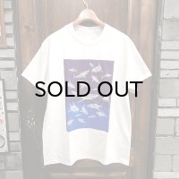 {PARADOX} "Sharks" S/S T-SHIRTS / NATURAL × gradation