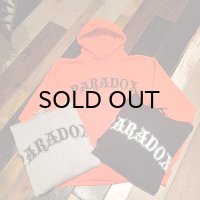 {PARADOX} "A BIRD" Pullover Hoodie