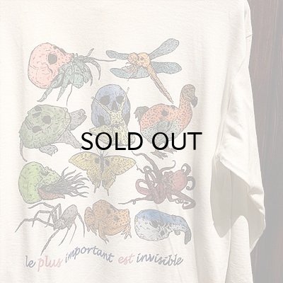 画像1: {PARADOX} "Skull Creatures" L/S T-SHIRTS / WHITE 