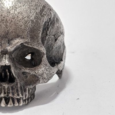 画像1: ※受注商品※ {GRYPHON} Anatomical Skull Ring without Joe