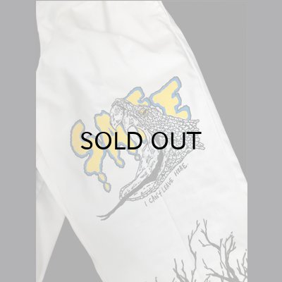 画像4: {HIROTTON × BOWL Cotton Wear} "HAND PAINT" BASIC CHINOS / Lsize / 02