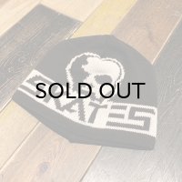 {SKULL SKATES} BIG LOGO KNIT CAP