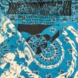 画像1: {NO MAD NUMSKULL} "HALLUCINATION CLUB" BANDANNA (SAX) (1)