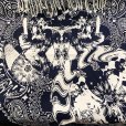 画像1: {NO MAD NUMSKULL} "HALLUCINATION CLUB" BANDANNA (NAVY) (1)