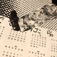 画像2: {ら} "satoshi ito" 2026カレンダー (2)