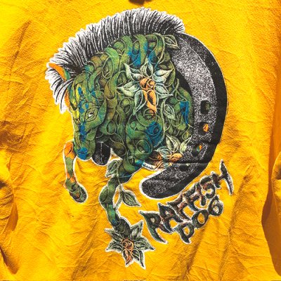 画像4: {SHUNSUKE}  used p/o parka(YELLOW)