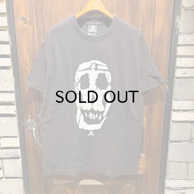 画像1: {SKULL SKATES} LADY SKULL T-SHIRTS