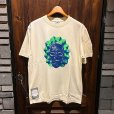 IVORY×GREEN