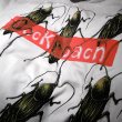 画像3: {MOMENTARY PSYCHO ART} "Cock roach" MULTI PRINT T-SHIRTS / WHITE (3)