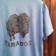 画像1: {PARADOX} "ZUBR" S/S T-SHIRTS (1)