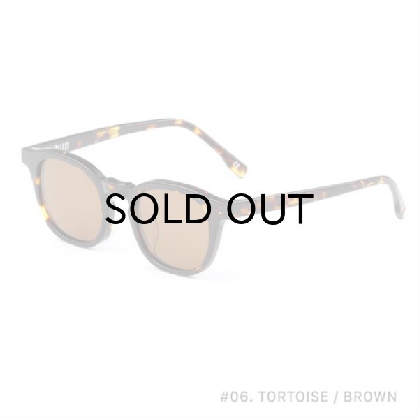 TORTOISE / BROWN