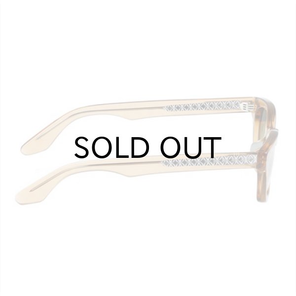 CLEAR BROWN / CLEAR to GREY (調光)