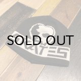 画像: {SKULL SKATES} BIG LOGO KNIT CAP