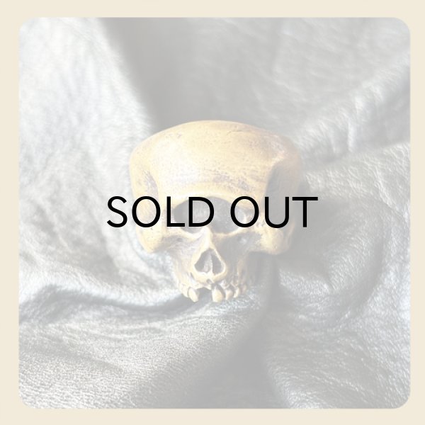 画像2: {HANG} “Cyclops Skull Ring" 【Brass Version】 (2)