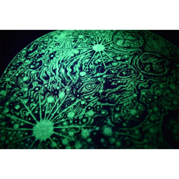 画像3: {FLYOVER} Moon Long sleeve Tee (3)