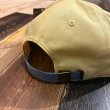 画像5: {RAFFISH DOG} "R" 2TONE CAP (Pear Banana/Blue Stone) (5)