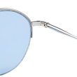 SILVER / GREYISH BLUE