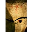 画像5: {仙台仮面展} "遊鷹"  (5)