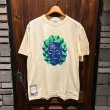 IVORY×GREEN