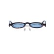 TORTOISE / GREYISH BLUE