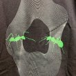 画像4: {FLYOVER} "ant" Coach Jacket (4)