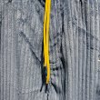 画像3: {MAGICAL MOSH MISFITS} モコモココーデュロイ EASY PANTS (3)